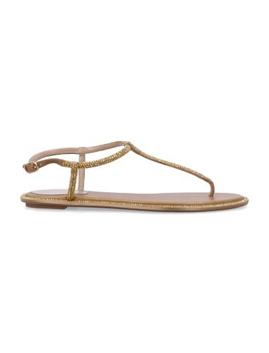 Crystals Diana Thong Sandals - René Caovilla - Modalova