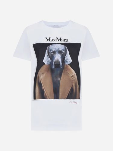 Cipria Print Cotton T-shirt - Max Mara - Modalova