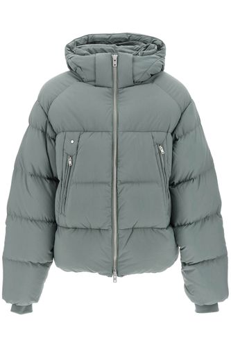 Y-3 Puffer Jacket - Y-3 - Modalova