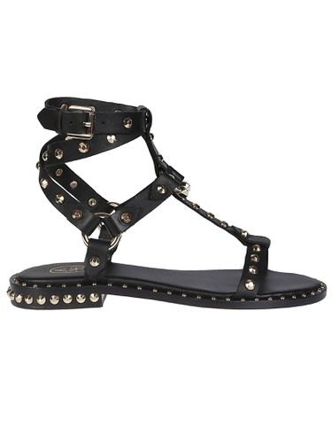 Ash Pulp Sandals - Ash - Modalova