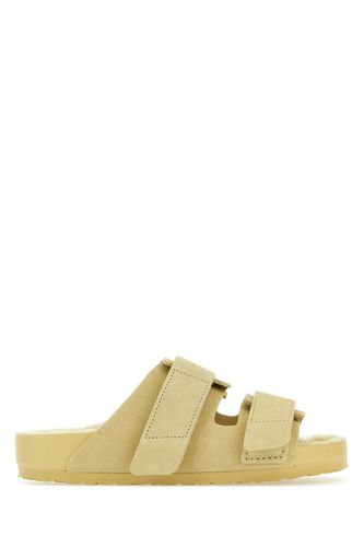 Beige Suede X Tekla Uji Slippers - Birkenstock - Modalova