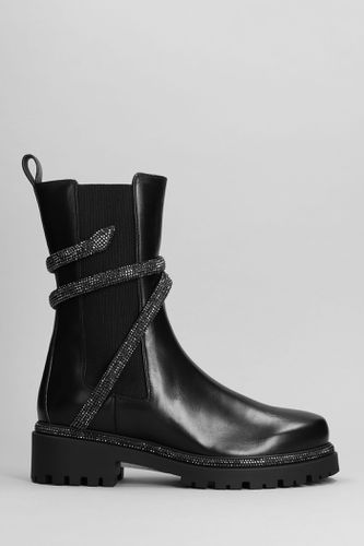 Cleo Combat Biker Boots - René Caovilla - Modalova