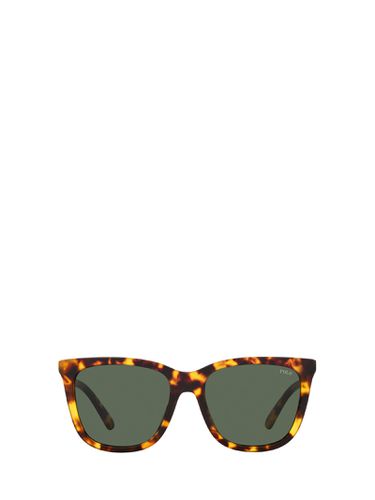Ph4201u Shiny Havana Sunglasses - Polo Ralph Lauren - Modalova