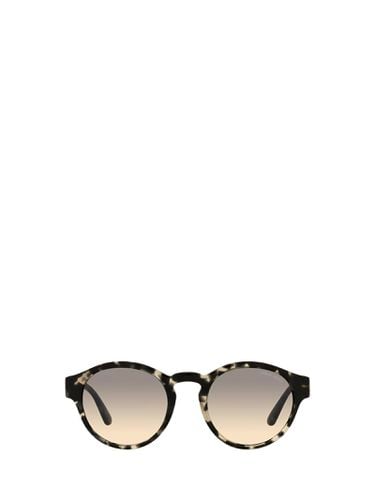 Ar8146 Grey Havana Sunglasses - Giorgio Armani - Modalova