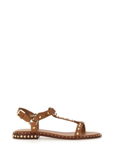 Ash Studded Sandal - Ash - Modalova