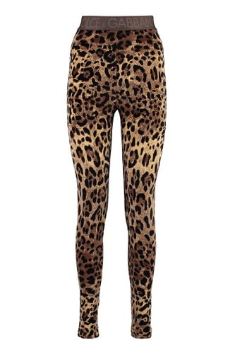 Dolce & Gabbana Jersey Leggings - Dolce & Gabbana - Modalova