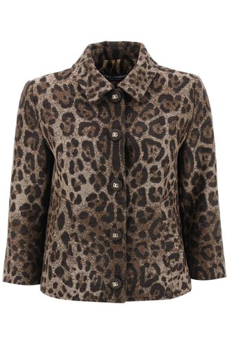Cropped Animalier Jacket - Dolce & Gabbana - Modalova