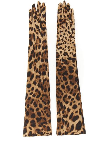 Dolce & Gabbana Long Stretch Gloves - Dolce & Gabbana - Modalova