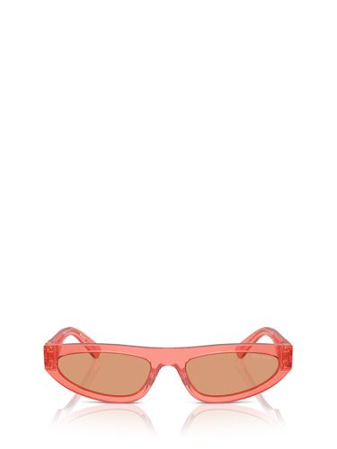 Mu 07zs Tulip Transparent Sunglasses - Miu Miu - Modalova