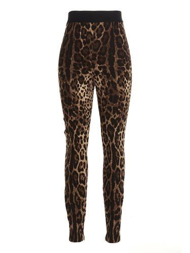 Animal Print Leggings - Dolce & Gabbana - Modalova