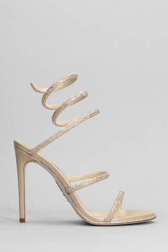 Cleo Sandals In Leather - René Caovilla - Modalova