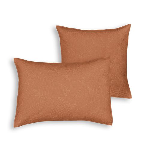 Federa Per Cuscino Percalle Cotone, Tropical Taglie 65 x 65 cm - la redoute interieurs - Modalova