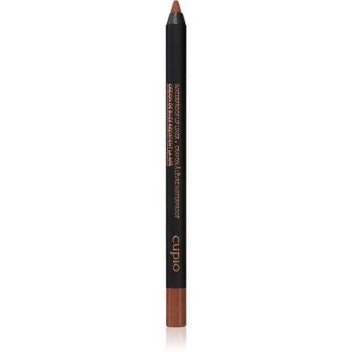 Waterproof Lip Liner delineador para labios resistente al agua tono Love Letter 1,2 g - Cupio - Modalova