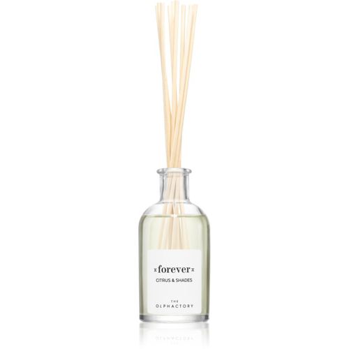 The Olphactory Citrus & Shades difusor de aromas Forever 100 ml - Ambientair - Modalova