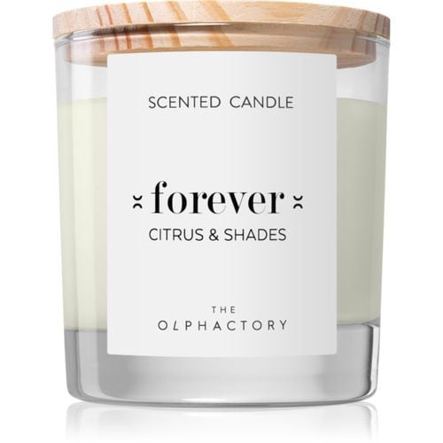 The Olphactory Citrus & Shades candela profumata Forever 200 g - Ambientair - Modalova