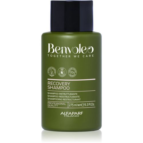 Benvoleo Recovery champú reestructurante para cabello maltratado o dañado 275 ml - Alfaparf Milano - Modalova