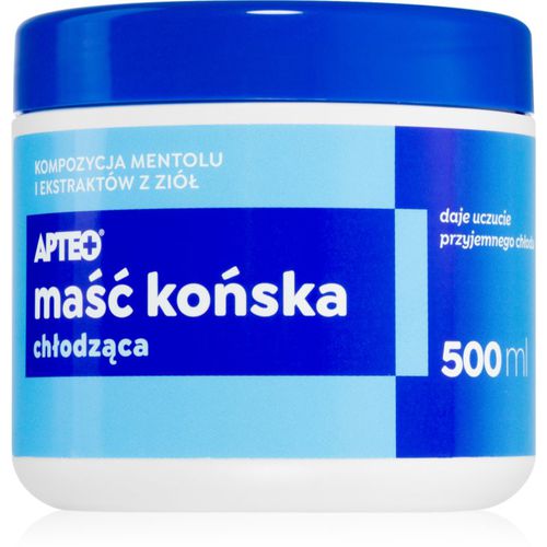 Pferdesalbe Kühlung Gel mit kühlender Wirkung 500 ml - Apteo - Modalova