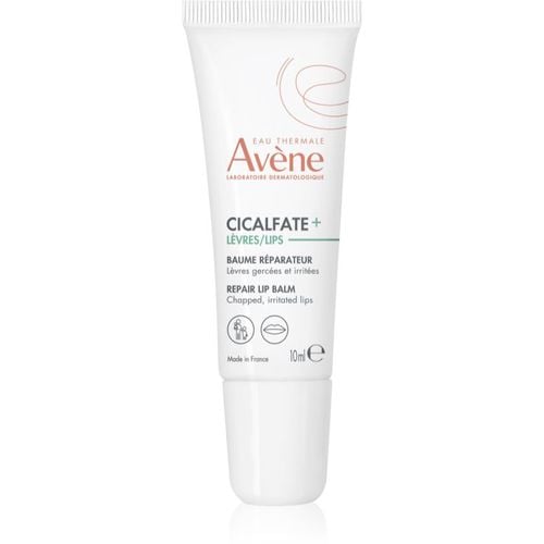 Cicalfate+ balsamo rigenerante per labbra secche 10 ml - Avène - Modalova