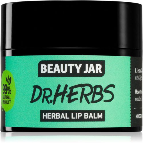 Dr. Herbs Lippenbalsam mit nahrhaften Effekt 15 ml - Beauty Jar - Modalova