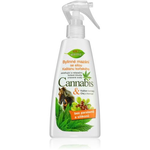 Cannabis pomada de cáñamo para músculos cansados 260 ml - Bione Cosmetics - Modalova