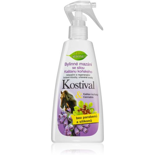 Cannabis Kostival pomada de cáñamo para músculos y articulaciones 260 ml - Bione Cosmetics - Modalova