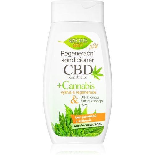 Cannabis CBD acondicionador regenerador para cabello 260 ml - Bione Cosmetics - Modalova