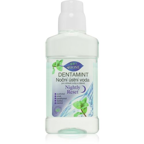 Dentamint Nightly Reset collutorio per la notte 265 ml - Bione Cosmetics - Modalova