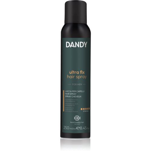 Hair Spray Extra Dry Fixing Haarspray mit extra starkem Halt für Herren 250 ml - DANDY - Modalova