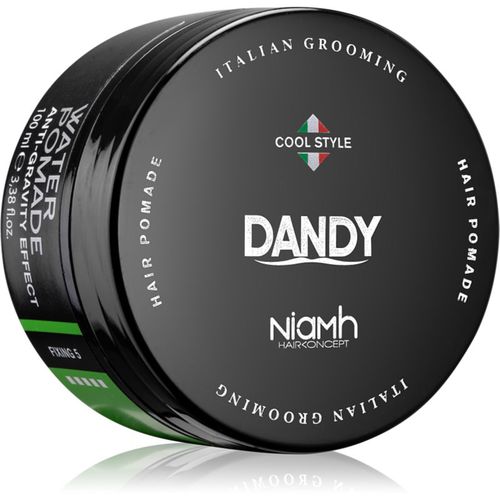 Water Pomade Anti-Gravity Effect pomada 100 ml - DANDY - Modalova