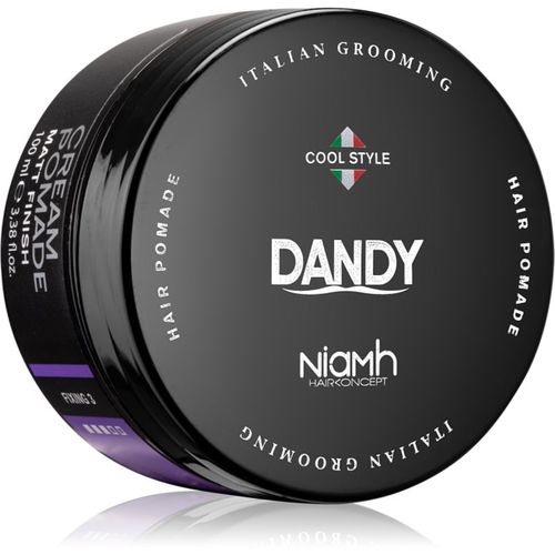 Cream Pomade Matt Finish pomada matificante para cabello 100 ml - DANDY - Modalova