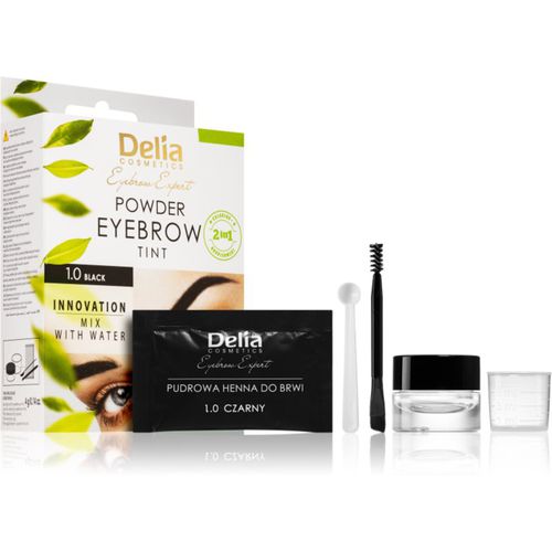 Eyebrow Expert tinte de color para cejas tono 1.0 Black 4 g - Delia Cosmetics - Modalova