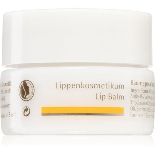 Eye And Lip Care bálsamo labial con efecto nutritivo 4,5 ml - Dr. Hauschka - Modalova