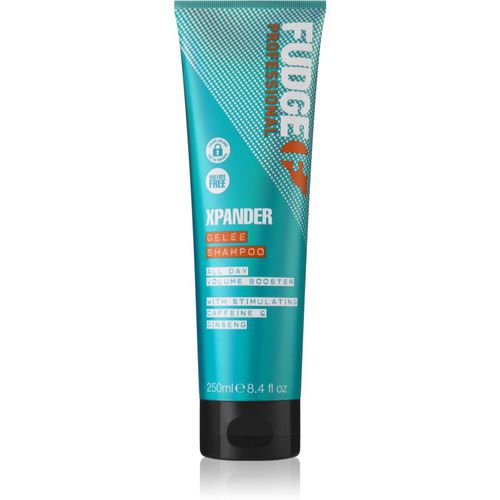 Care Xpander shampoo rigenerante per capelli rovinati e fragili 250 ml - Fudge - Modalova