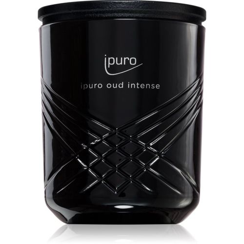 Exclusive Oud Intense vela perfumada 270 g - ipuro - Modalova