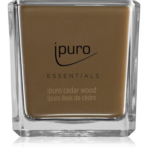 Essentials Cedar Wood vela perfumada 125 g - ipuro - Modalova