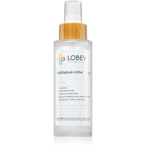 Skin Care Obličejová Mlha Tonisierendes Gesichtsnebel-Spray 100 ml - Lobey - Modalova