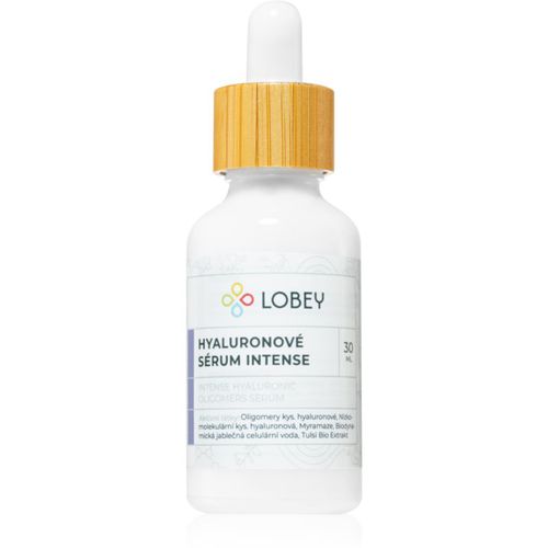 Skin Care Hyaluronic Serum Intense Gesichtsserum mit Hyaluronsäure 30 ml - Lobey - Modalova