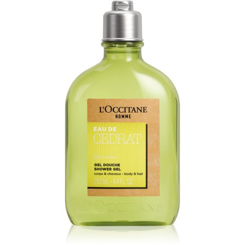 Men Cedrat gel de ducha para cabello y cuerpo 250 ml - L’Occitane - Modalova