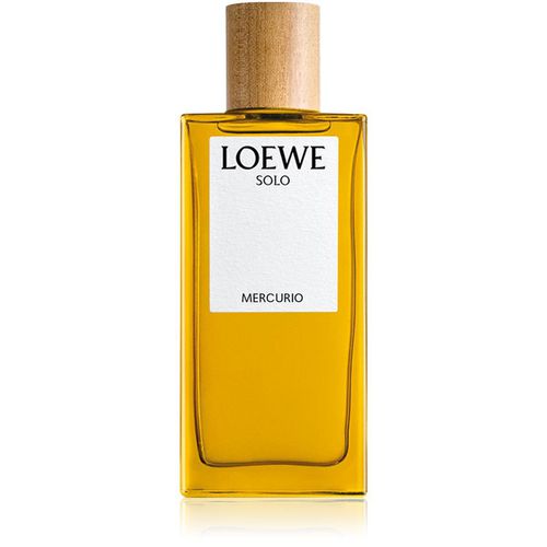 Solo Mercurio Eau de Parfum für Herren 100 ml - Loewe - Modalova