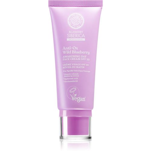 Anti-Ox Wild Blueberry crema facial de día SPF 20 50 ml - Natura Siberica - Modalova