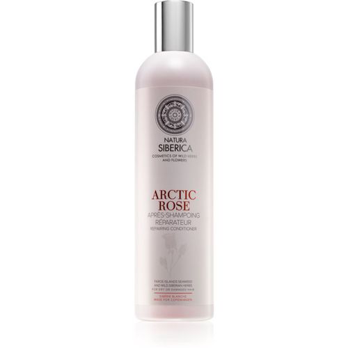 Copenhagen Arctic Rose acondicionador regenerador para cabello seco y dañado 400 ml - Natura Siberica - Modalova