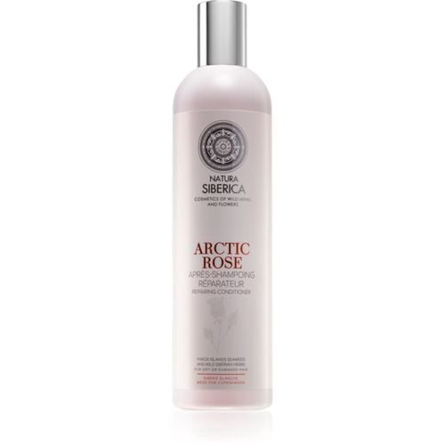 Copenhagen Arctic Rose regenerierender Conditioner für trockenes und beschädigtes Haar 400 ml - Natura Siberica - Modalova