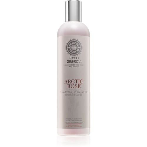 Copenhagen Arctic Rose champú regenerador para cabello seco y dañado 400 ml - Natura Siberica - Modalova