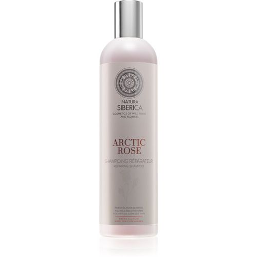 Copenhagen Arctic Rose shampoo rigenerante per capelli rovinati e secchi 400 ml - Natura Siberica - Modalova