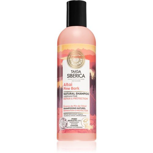 Taiga Siberica Altai Pine Bark champú reparador para cabello maltratado o dañado 270 ml - Natura Siberica - Modalova