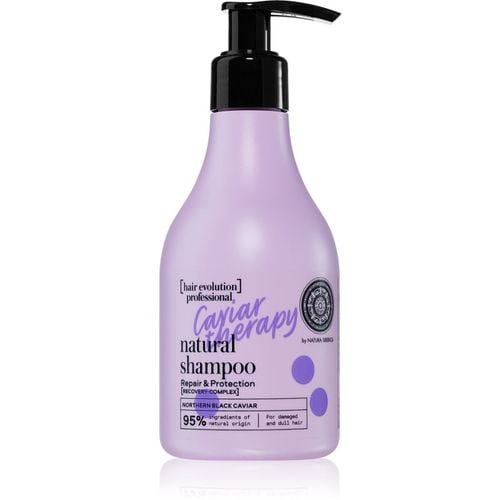 Hair Evolution Caviar Therapy champú para cabello quebradizo y dañado 245 ml - Natura Siberica - Modalova