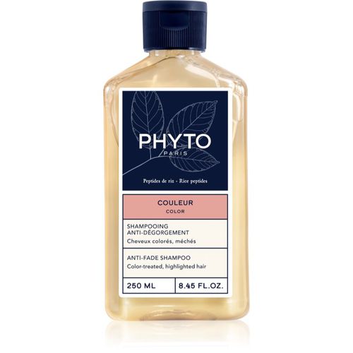 Color Anti-fade Shampoo für gefärbtes Haar 250 ml - Phyto - Modalova