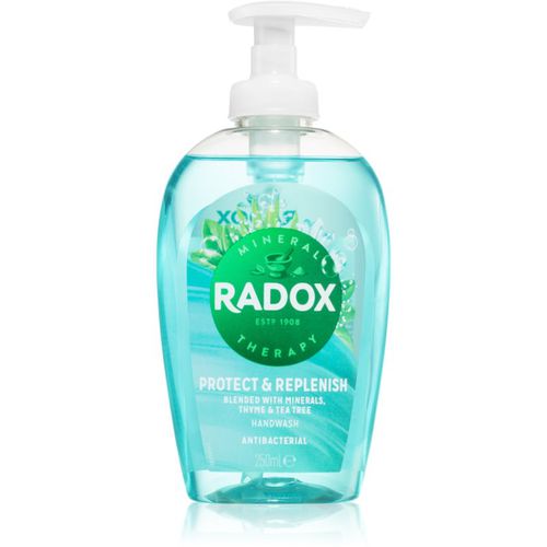 Protect + Replenish jabón líquido para manos 250 ml - Radox - Modalova