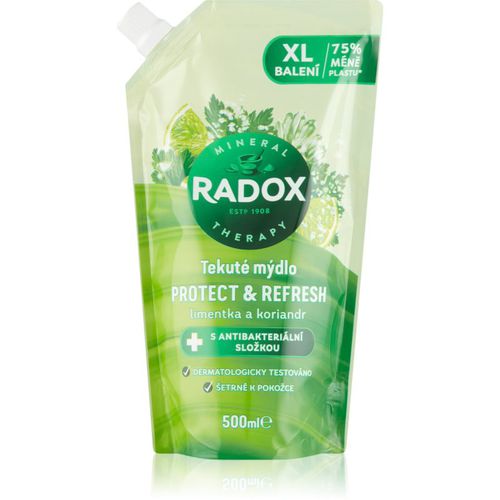 Protect & Refresh jabón líquido Recambio 500 ml - Radox - Modalova