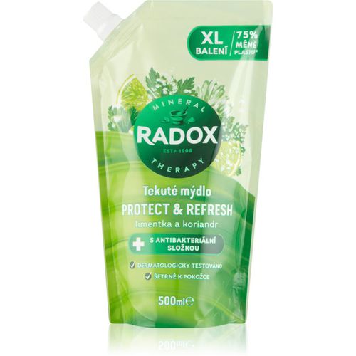 Protect & Refresh sapone liquido ricarica 500 ml - Radox - Modalova